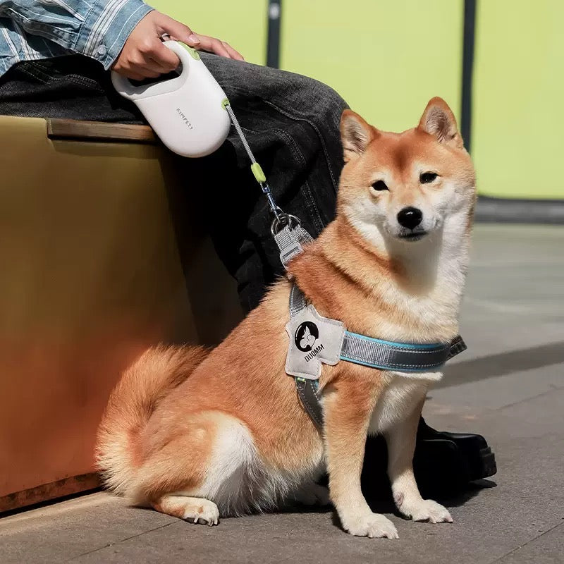 Freedom Meets Safety: The 5m Reflective Retractable Leash for Stress-Free Adventures